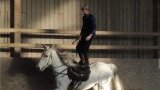 Cours d'équitation Cours d'équitation