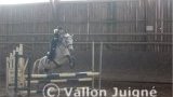 Cours d'équitation Cours d'équitation