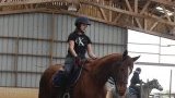 Cours d'équitation Cours d'équitation